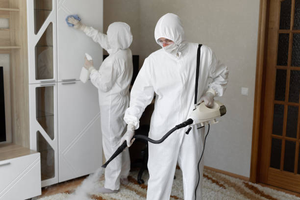 Best Industrial Mold Remediation  in Crewe, VA